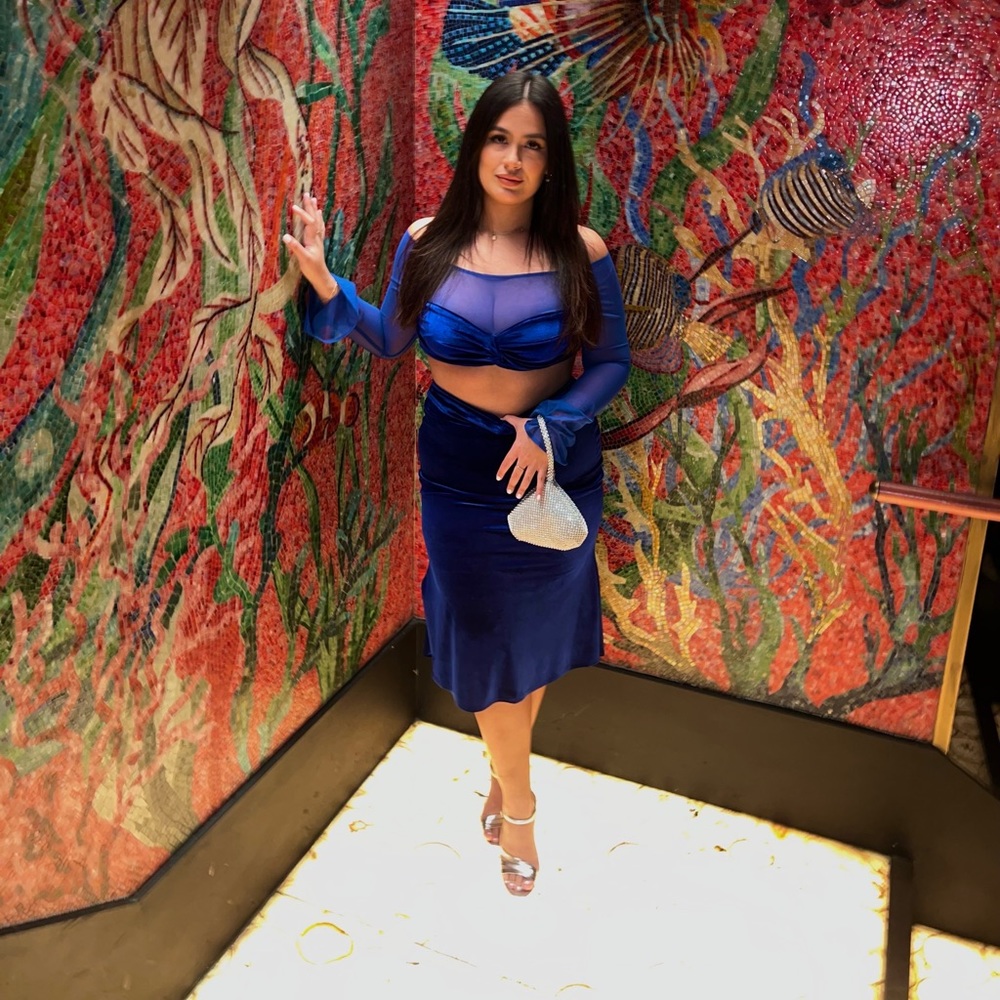 Betta blue velvet floral skirt & Brucie Blue Velvet Mesh Sleeve too. Miss circle